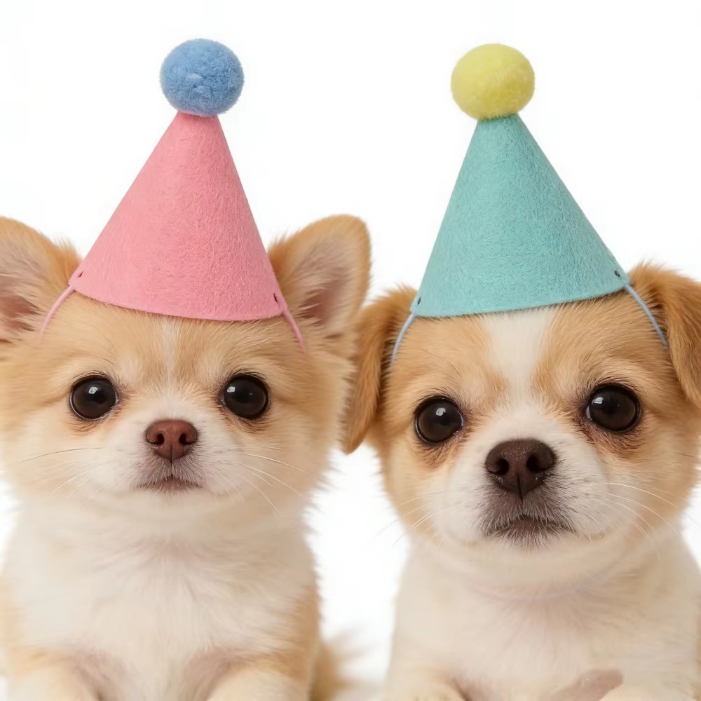 6/12 pezzi: simpatici cappelli - Party Hat Cone recensione e prezzo